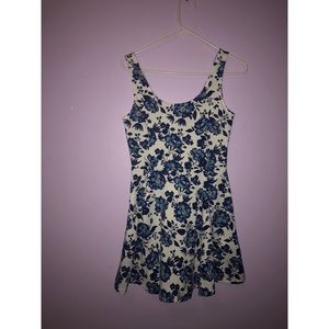Blue and White Floral Skater Dress